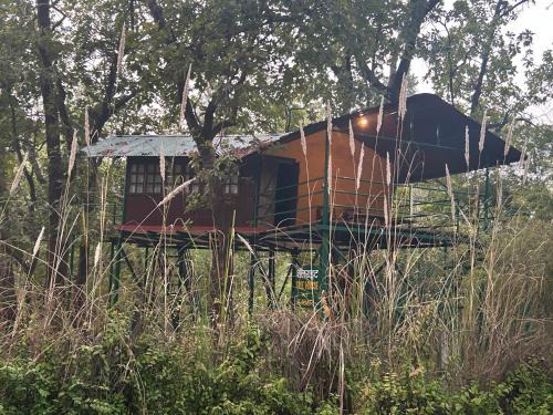 Baihar Other | Treehouse at Kamp