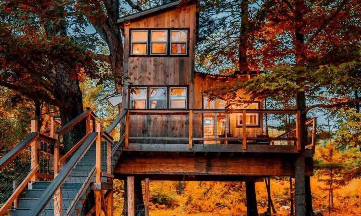 Willington Cabin | Treehouse - Countryside - Farm Animals - Fire Pit