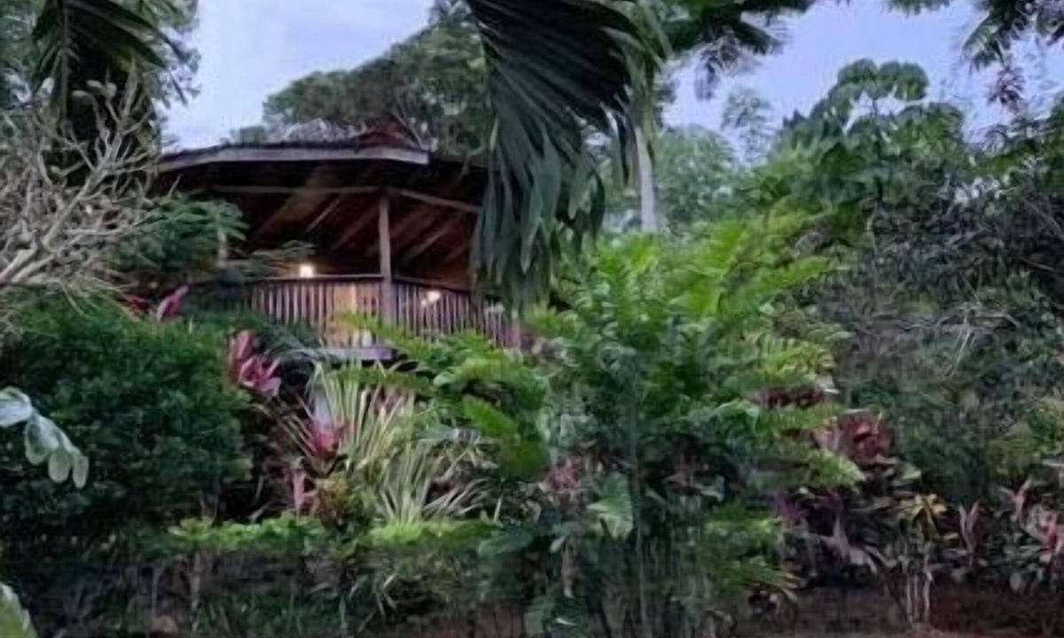 San Isidro de El General Cabin | treehouse