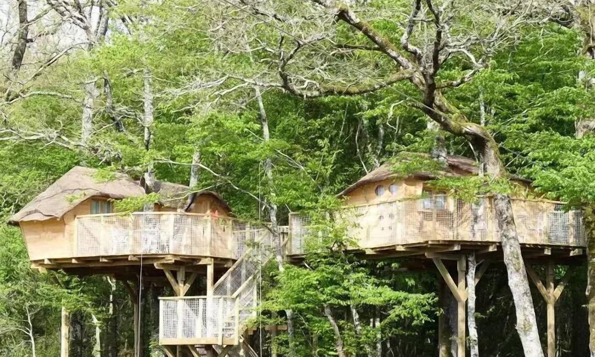 Dienne Cabin | Treehouse for 4 People