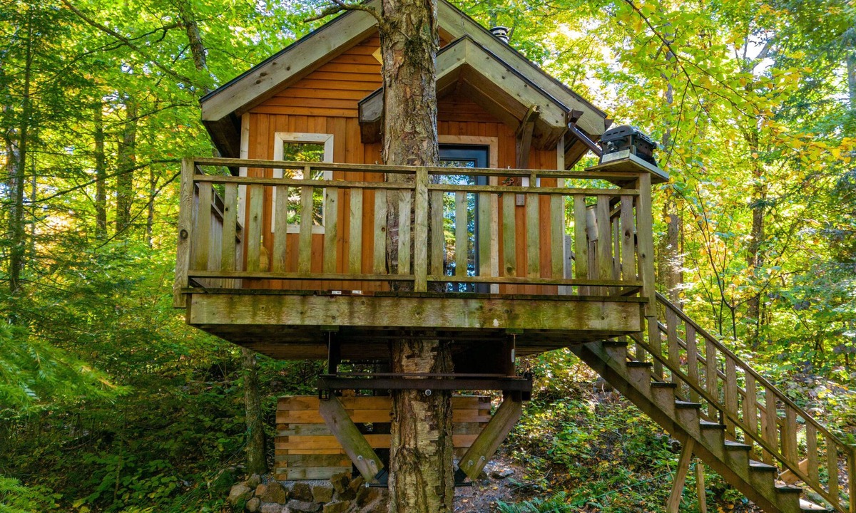 Saint-Faustin-Lac-Carre House | Treehouse, forest and lake, near reception | Lodging #10