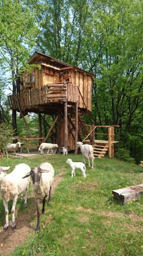 Sveti Duh na Ostrem Vrhu Ski Chalet | Treehouse Toplak