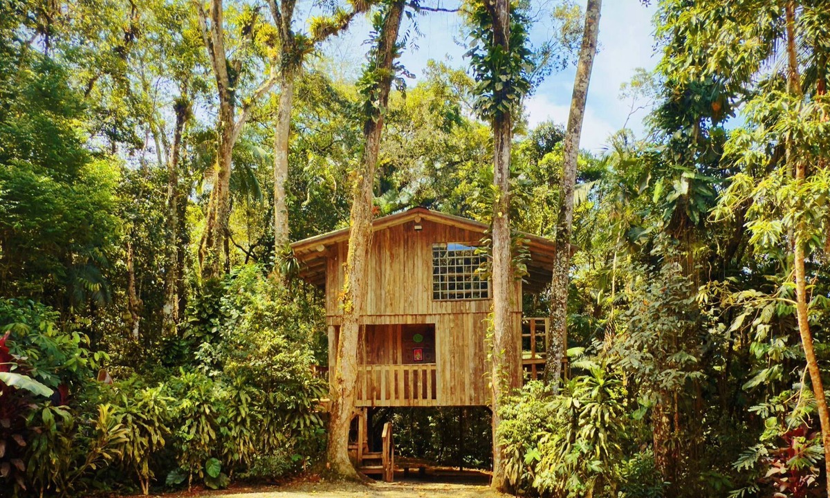 Joinville Ski Chalet | Treehouse: Unique Accommodation with Pool, Bathtub, and Restaurant