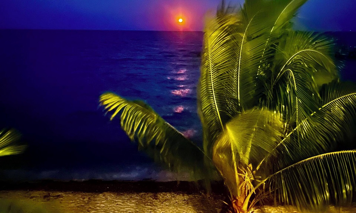 Placencia Cabin | Treetop Beachfront Cabana
