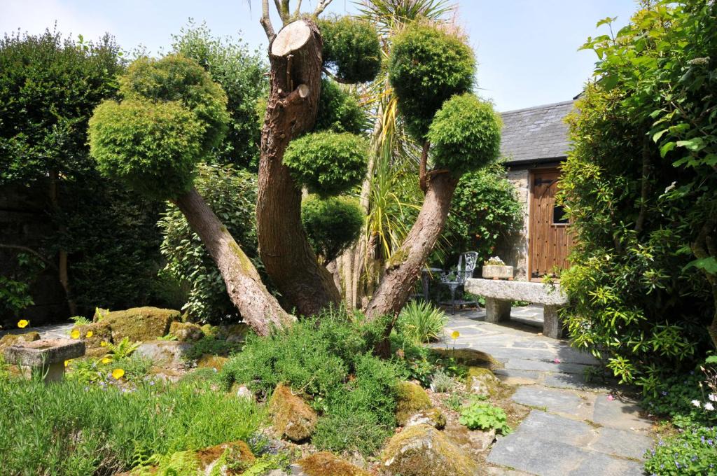 Saint Breward House | Trevenning Chapel