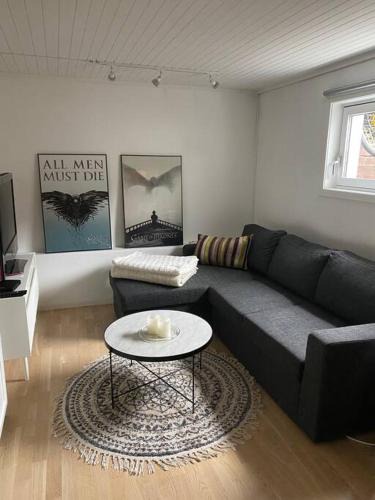 Trondheim Apartment | Trondheim sentrum, Lade - Nyhavna, gratis parkering