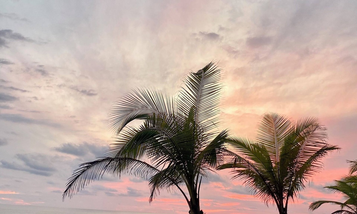 Playa Hermosa Hostel | Tropical Camas