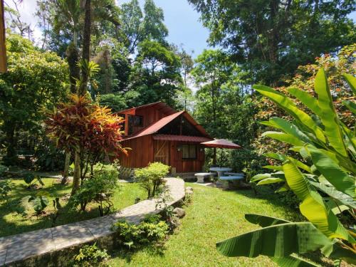 Chachagua Ski Chalet | Tropical Forest Adventure Near Arenal Volcano