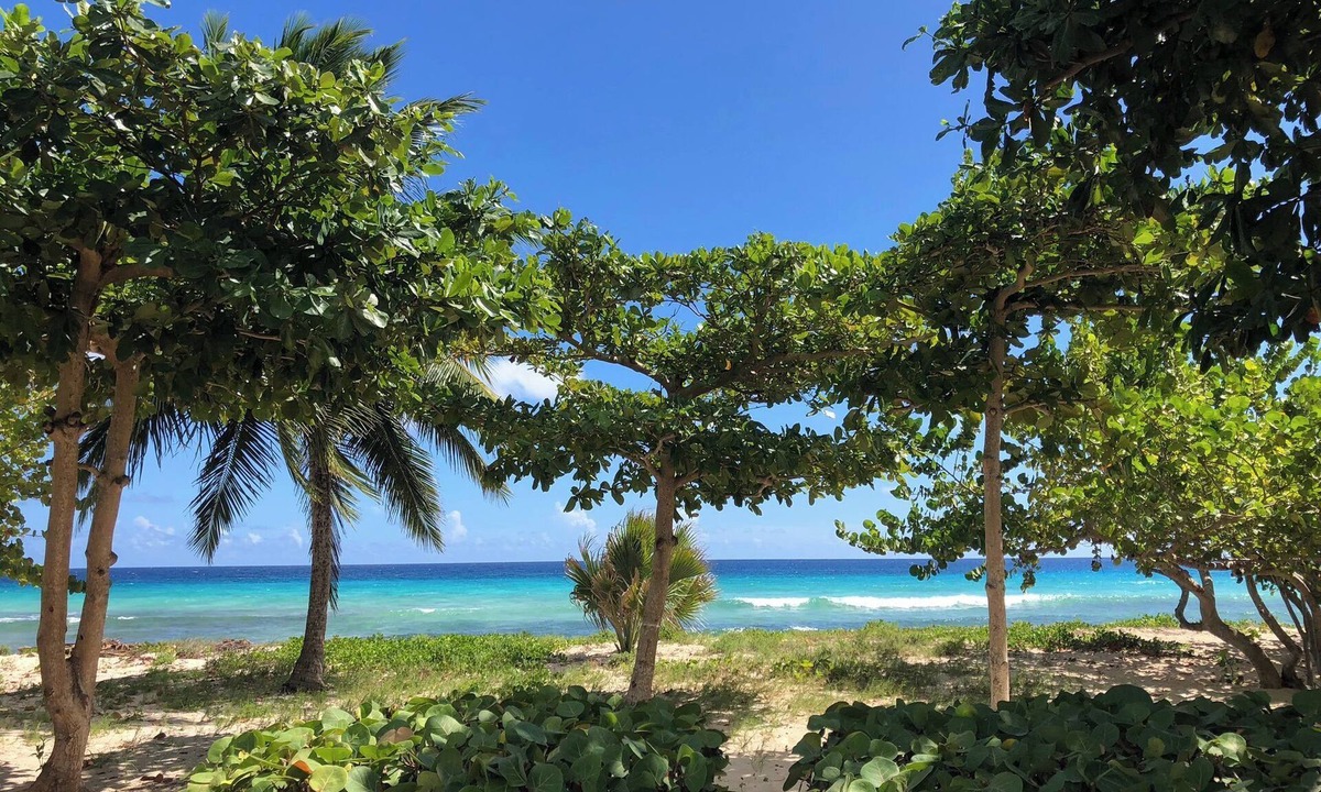 Saint Matthias Condo | TROPICAL PARADISE ON THE BEACH