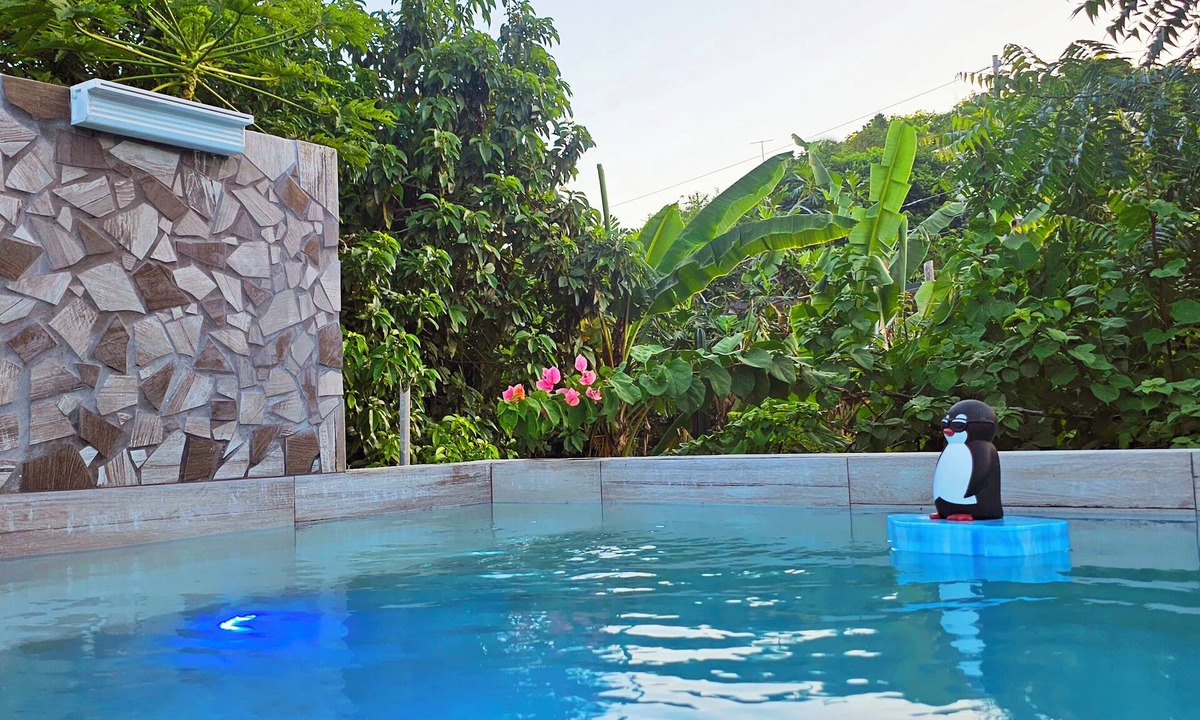 Bravos de Boston Apartment | Tropical Studio with Private Pool & Balcony