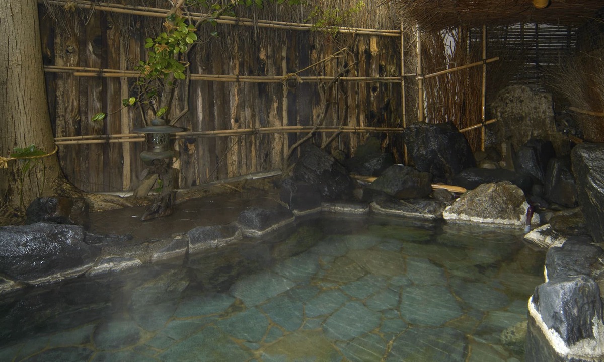 Asamushi Onsen House | Tsubakikan