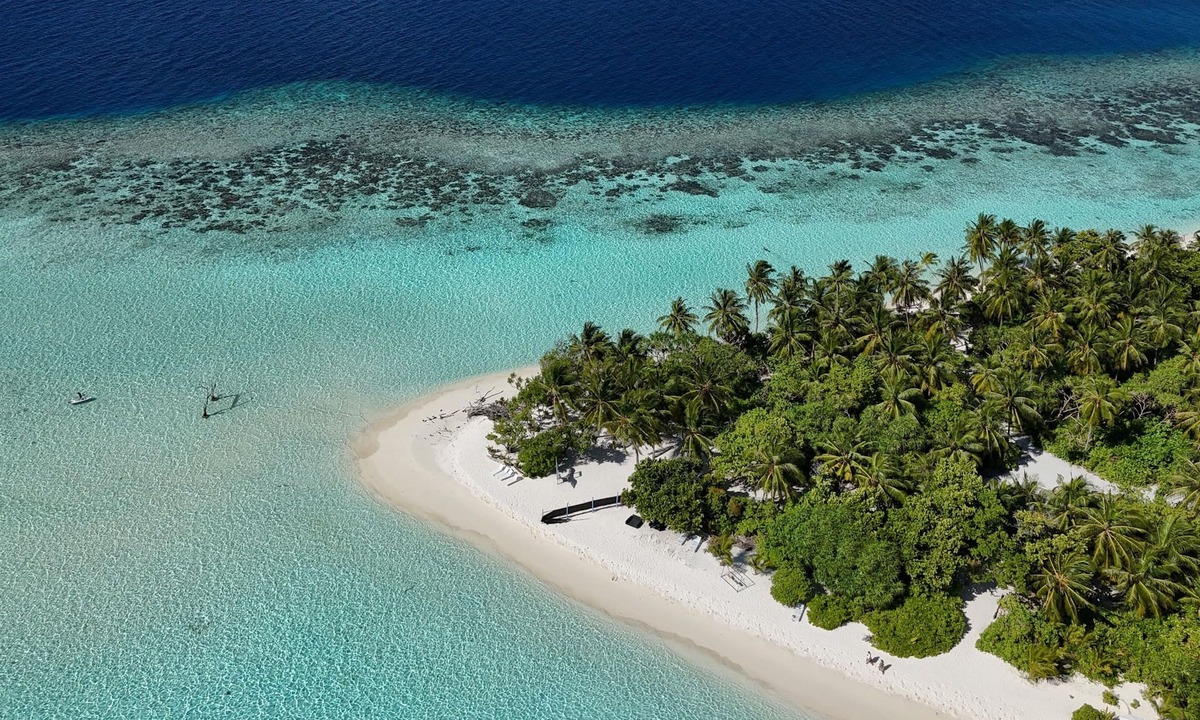 Omadhoo House | Turtle Maldives