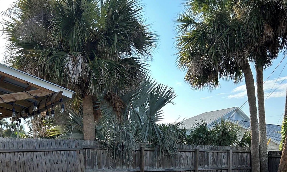 New Smyrna Beach Cottage | Turtle Tracks Tiny House One bed one bath one block to beach. Quiet and private