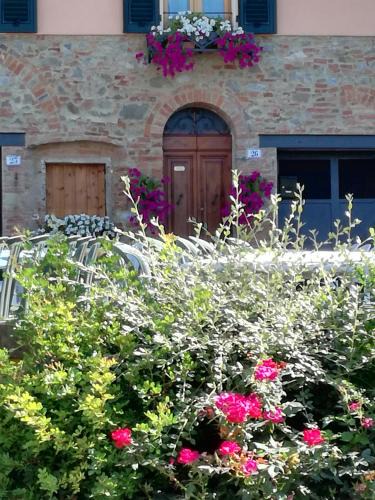 Terricciola Apartment | Tuscany Life