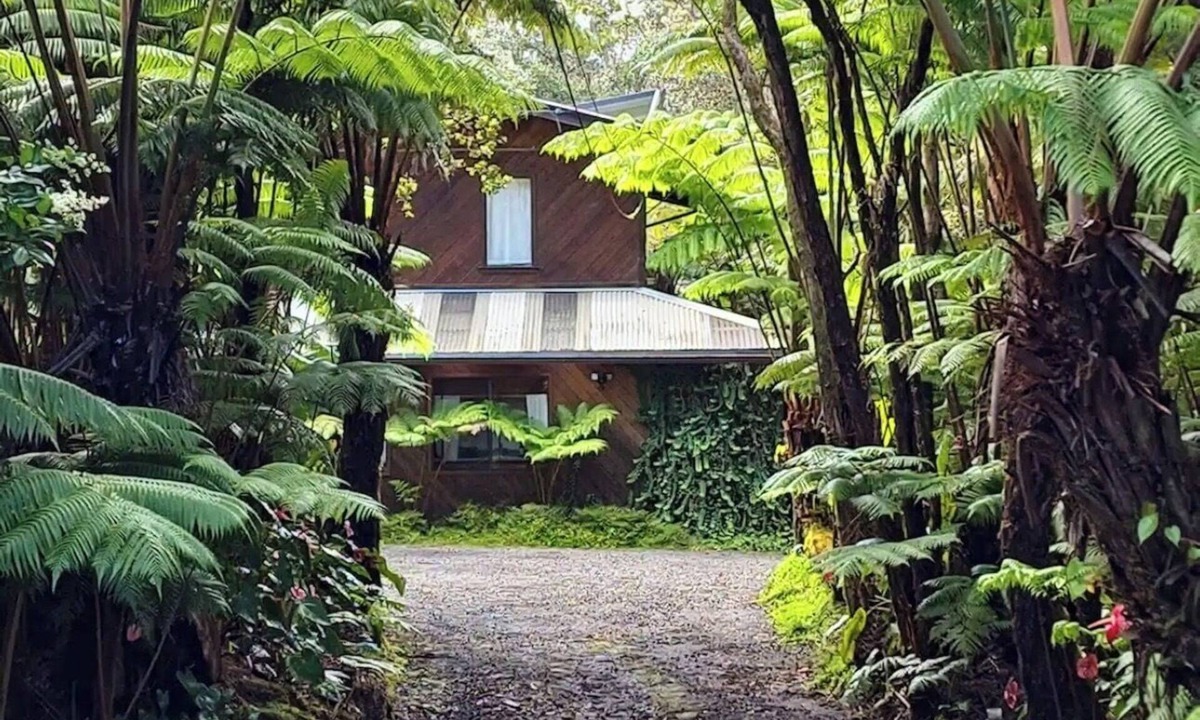 Volcano Cabin | Two Peaceful cabins in marvelous Volcano for a relaxing stay.