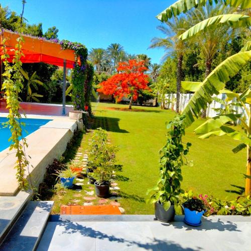 Al-'Amriyah Villa | Two pools villa for families