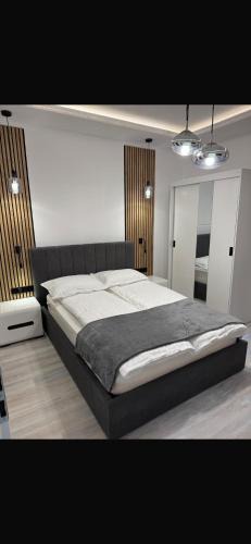 Satu Mare Apartment | Two Residence