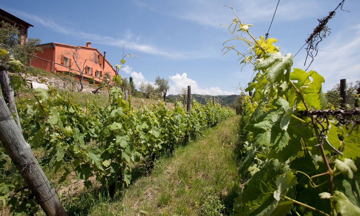 Fosdinovo Apartment | Two-room apartment in farmhouse surrounded by greenery and a few kilometers from the sea