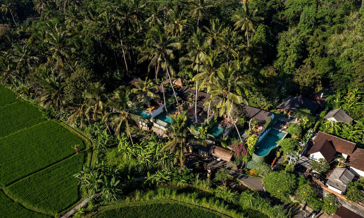 Kedewatan Hotel | Ubud Padi Villas
