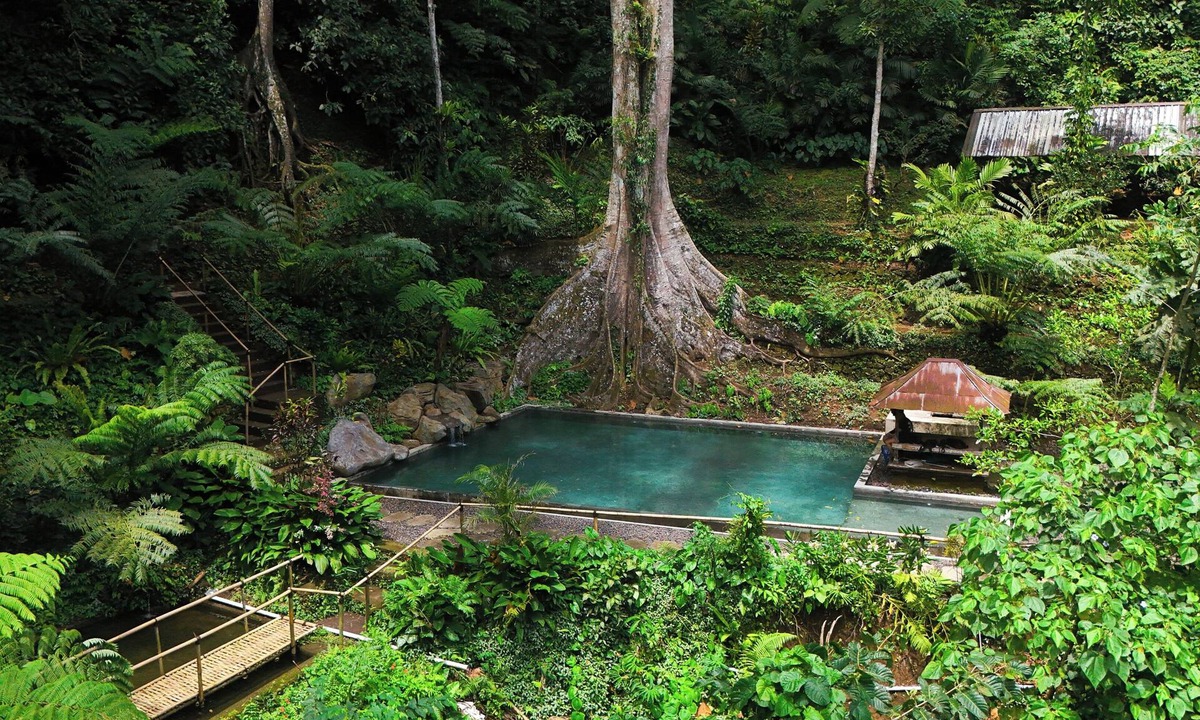 Payangan Hotel | Udaka Retreat