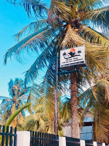 Rote Island House | Ume Kelapa