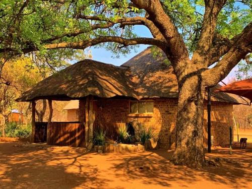 Madibeng Cabin | Unathi Game Lodge