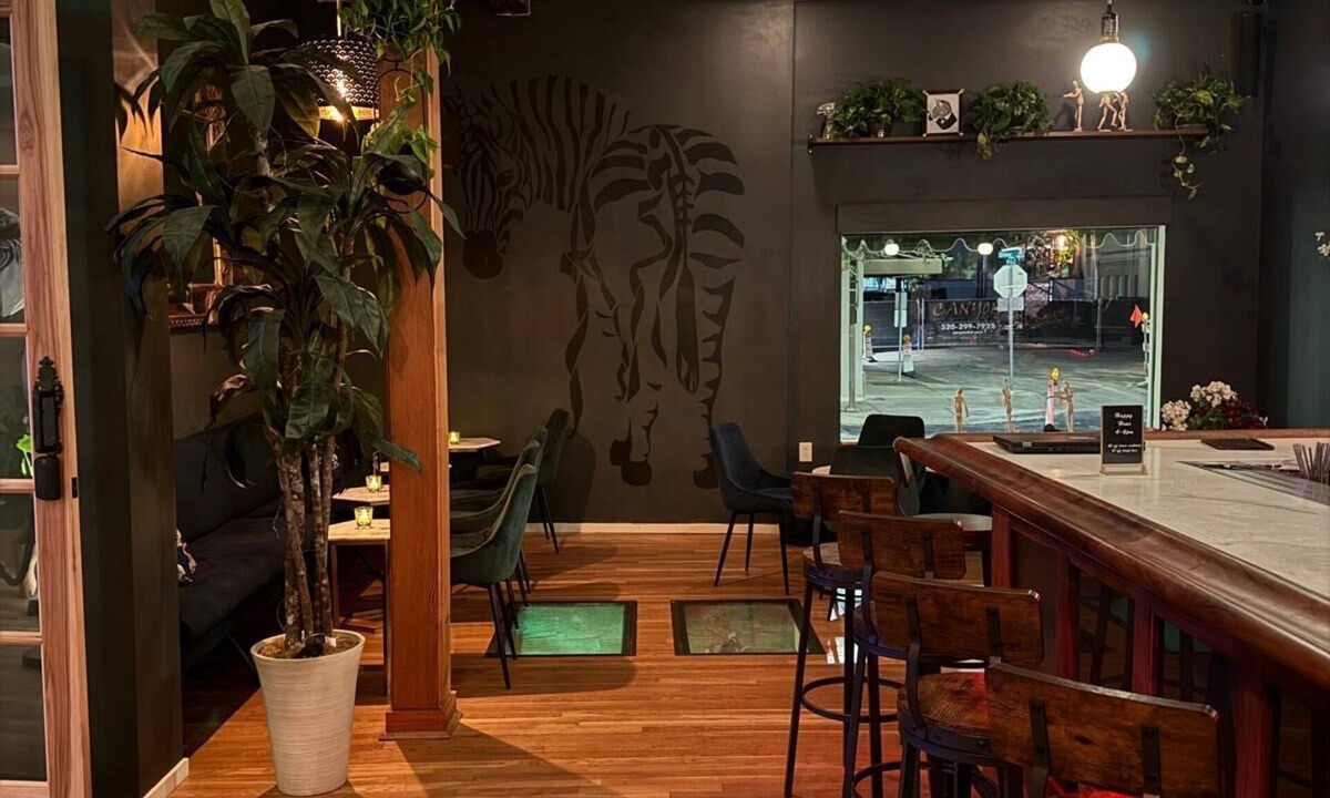 Downtown Tucson Hotel | Unicorn Zebra