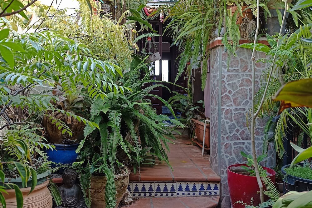 Rio Velez Apartment | Unique Accommodation in a Lush Urban Jungle