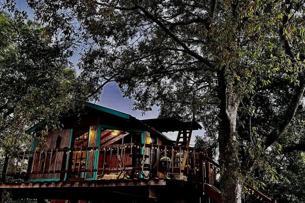 Willis Cabin | Unique Bamboo Tree House for an Unforgettable Couples Getaway by Lake Conroe, Texas