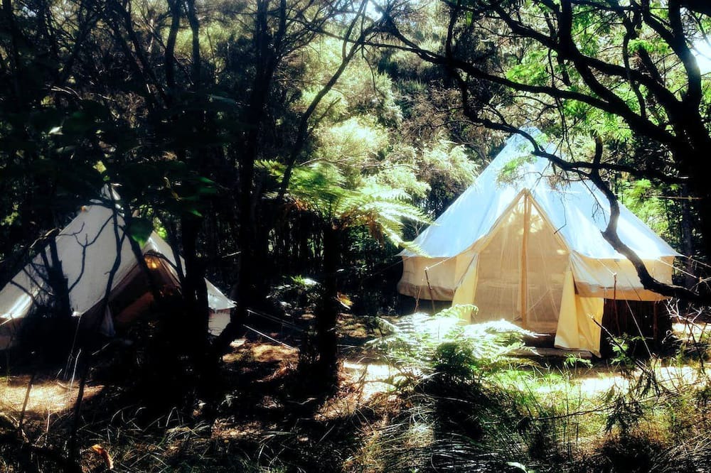 Karkari Peninsula RV Rental | Unique Kaitaia Accommodation for North Island Glamping