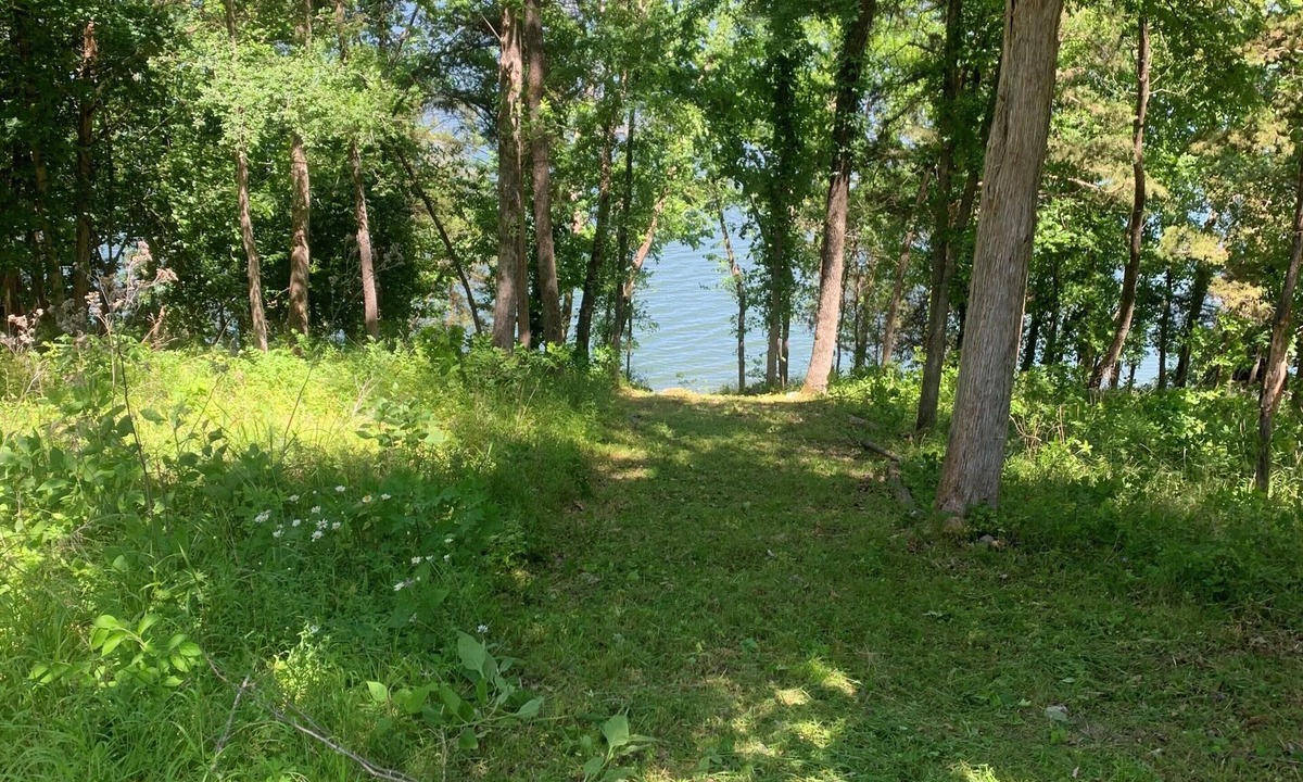 Arrow Point Cabin | Upscale Lakefront Table Rock Cabin with nearby Launch