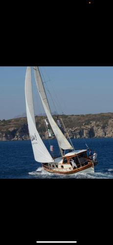 Bitez Boat Rental | Usta-k