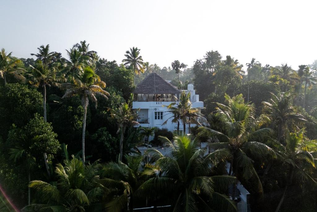 Varkala Hotel | Utopia Varkala - Boutique stay in Odayam rice fields