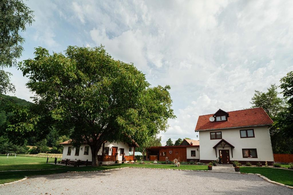 Zetea Bed & Breakfast | Vén Diófa