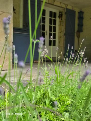 Castellane Bed & Breakfast | Vacances Castellane