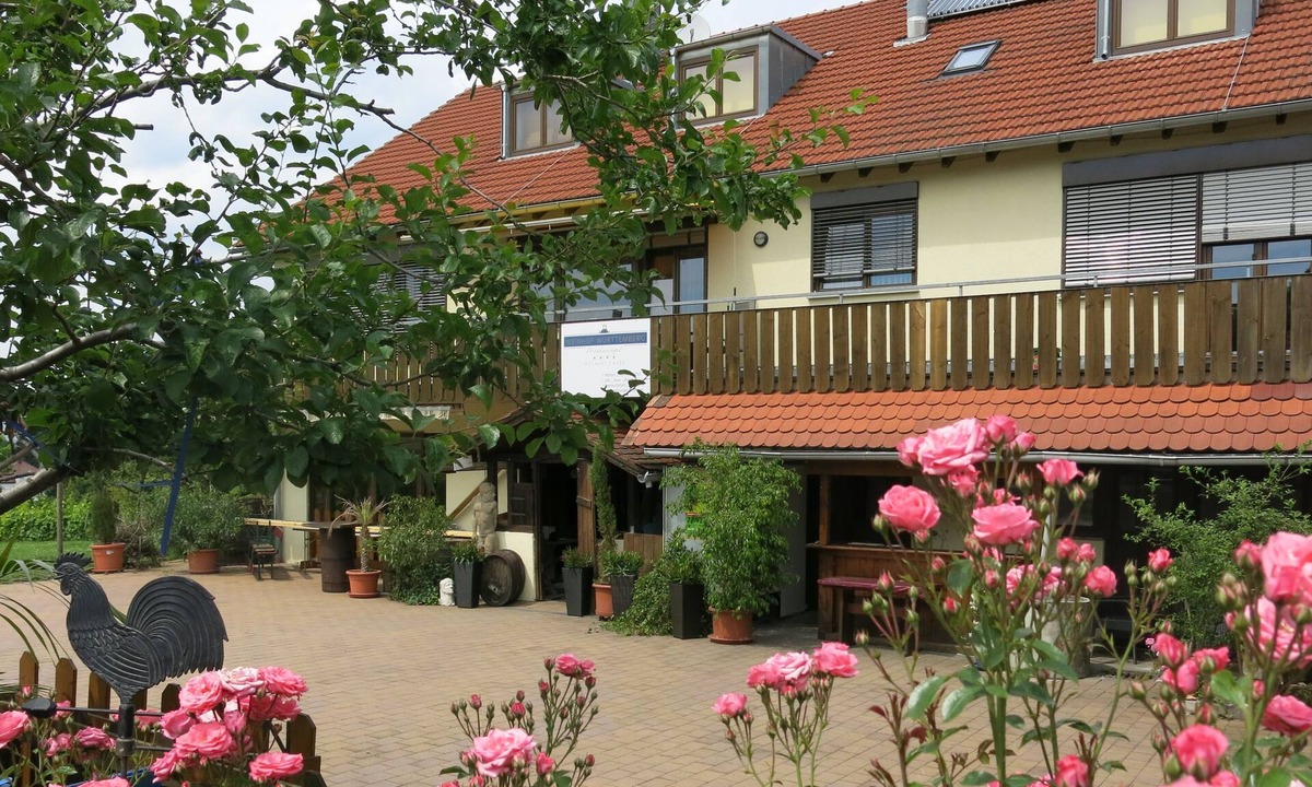 Rotenberg Apartment | Vacation apartment at the Weinhof | In the middle of the vineyards and close to the city