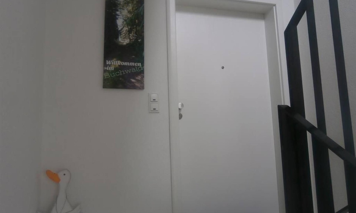 Greimerath Bed & Breakfast | Vacation apartment Buchwald - Guesthouse Greimerather Forst