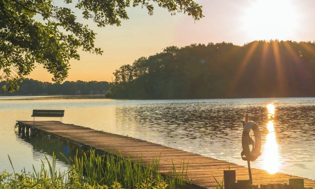 Dummer House | Vacation home Seebrise with sauna, fireplace & rowing boat and beach directly on the Dümmer See.
