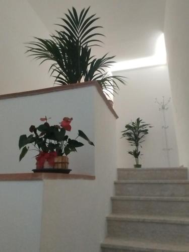 Ambra Bed & Breakfast | Valdambra B&B