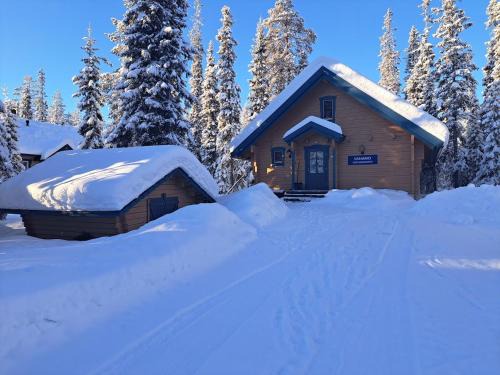 Syote Villa | Vanamo