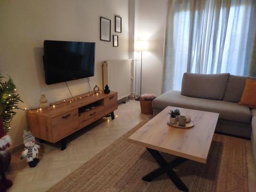Karditsa Apartment | Vasiliki's place
