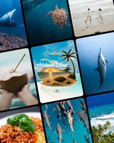Thulusdhoo Island Hotel | VelaaOlhu - Turtle Hive Thulusdhoo