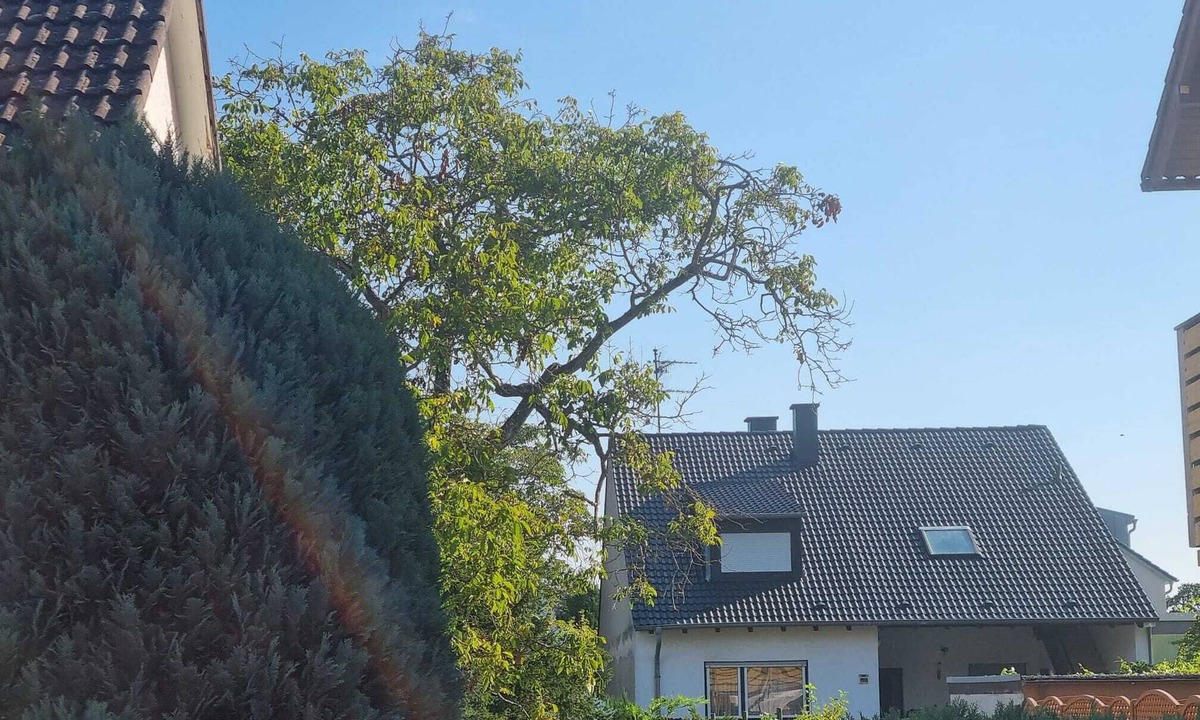 Mannheim Condo | Very nice 3 room apartment with large terrace in Mannheim near Heidelberg