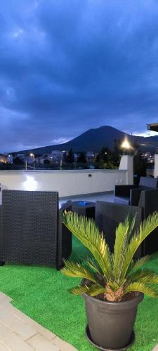 Boscotrecase House | Vesuvius Dream