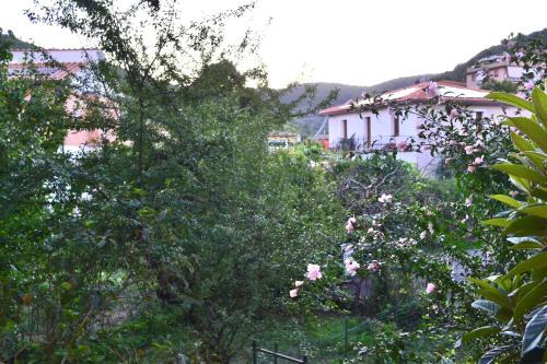 Rosia Apartment | Vicolo della Chiusa