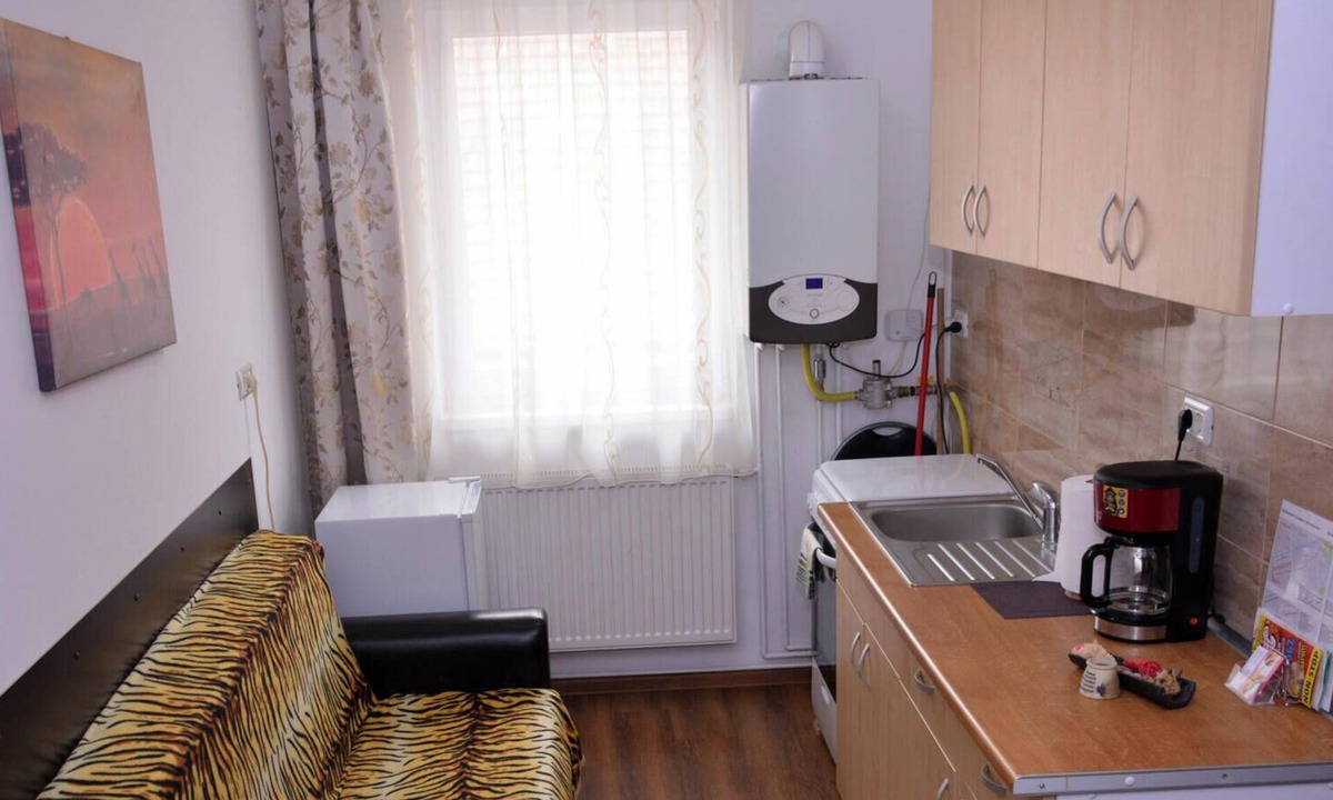 Timisoara Apartment | Vig Apartments Timisoara