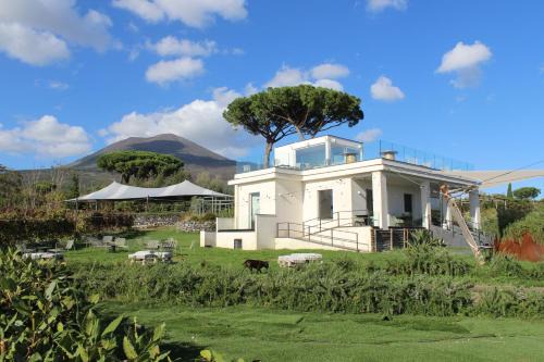 Trecase House | Vigna delle Rose