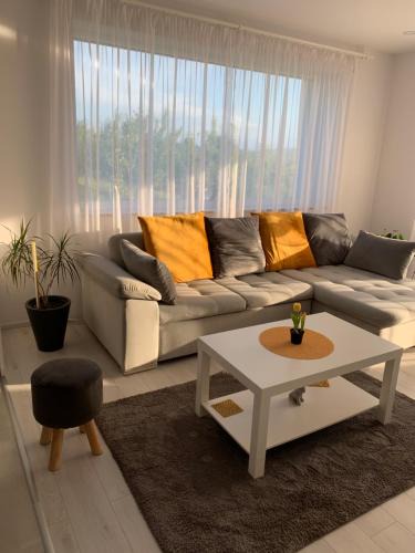 Dealu House | Viktoria House