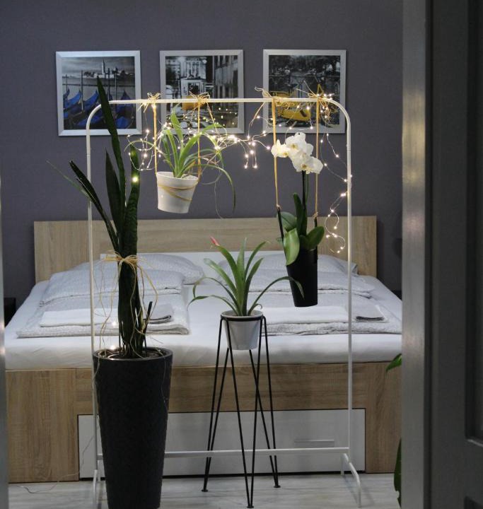Satu Mare Apartment | Viky Apartment
