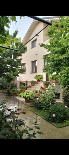 Craiova House | Vila Aurora